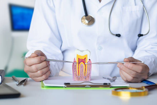 Best Emergency Tooth Extraction  in Christiansburg, VA